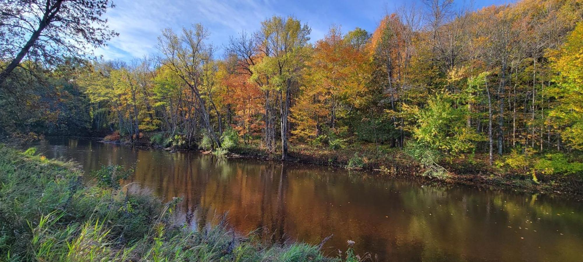 Black River Crossing Bed & Breakfast Bessemer Экстерьер фото